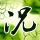 原版金泽星棱大学文凭学位【degxx.com】